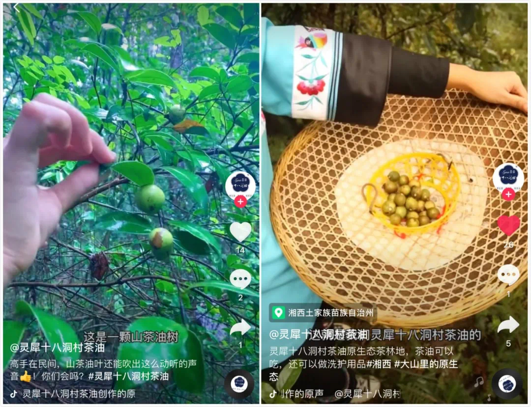 微信图片_20231213155223.png
